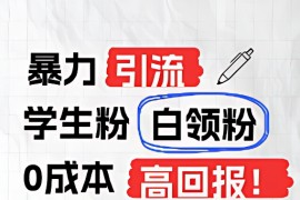 暴力引流学生粉白领粉，吊打以往垃圾玩法，0成本，高回报