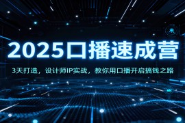 2025口播速成营：3天打造，设计师IP实战，教你用口播开启搞钱之路