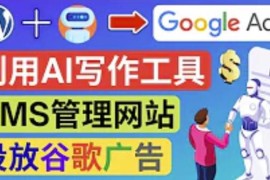 通过AIWriiter快速获得原创性高的内容，搭建wordpress英文网站投放Adsense广告赚钱 