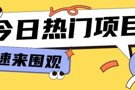 今日头条新玩法，视频变文章，一天也能收益几十几百【视频教程】