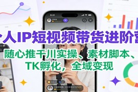 个人IP短视频带货进阶营：随心推千川实操、素材脚本、TK孵化，全域变现