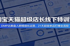 淘宝天猫超级店长线下特训营：DMP达摩盘人群精细化运营，21天超级单品打爆全流程