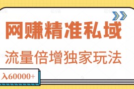 网贝兼精准私域月入60000+项目,流量倍增独家玩法
