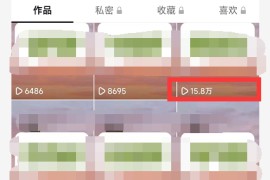 副业孵化营第5期：抖音情感中视频变现项目孵化 单条视频收益几十上百
