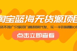 淘宝蓝海无货源项目，不囤货不推广只做冷门高利润代发，花一半时间赚10倍钱