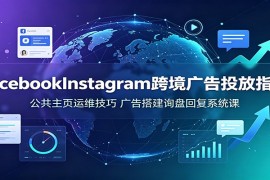 Facebook Instagram跨境广告投放指南：公共主页运维技巧，广告搭建询盘回复系统课