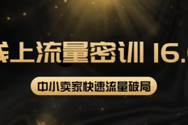 线上流量密训16.0：包含暴力引流10W+，中小卖家流量破局技巧等等