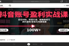抖音账号盈利实战课，定位对标、标签打造、破播放技巧，讲涨粉变现与场景搭建