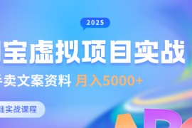 0基础淘宝虚拟项目垂直玩法，新手卖文案资料，月入5000+