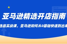 亚马逊精选开店指南，选品实战课，亚马逊如何从0基础快速到出单