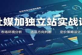 2026跨境社媒+独立站全链路实战课：从选品定价到私域网红营销系统教学