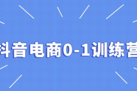 抖音电商0-1训练营，0粉引爆直播间实操攻略，快速变现赚钱
