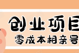 零成本创业项目年入30W：相亲号，从平台搭建到引流到后期开单