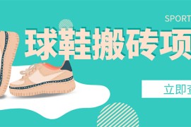 外面收费998的球鞋搬砖项目，月入5000+【详细教程+资源渠道】