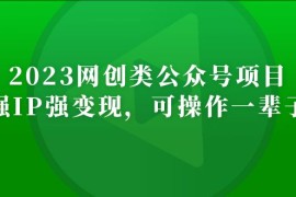 网创类公众号月入过万项目，强IP强变现，可操作一辈子
