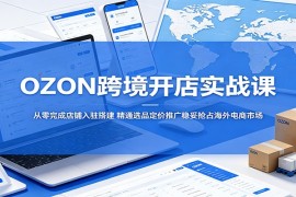 OZON跨境开店实战课：从零完成店铺入驻搭建，精通选品定价推广稳妥抢占海外电商市场