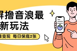 黑屏撸音浪最新玩法 双重变现 每日保底2张