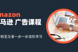 amazon亚马逊广告课程：从青铜至王者一步一步进阶学习（16节）