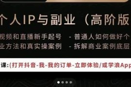 个人IP与副业（高阶版）短视频和直播新手起号-普通人如何才能赚钱