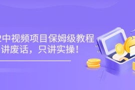 最新玩赚中视频保姆级教程，不讲废话，只讲实操（10节视频)