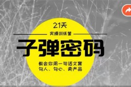《子弹密码训练营》用一句话文案勾人勾心卖产品，21天学到顶尖文案大师策略和技巧