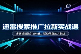 迅雷搜索拉新实战教程：多赛道引流转化玩法 联动网盘提升收益