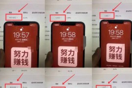 揭秘：某宝虚拟撸收益废店项目，单户保底4000+【视频+文档】