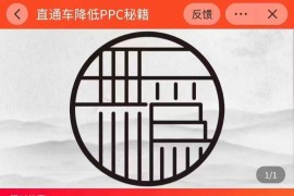 直通车降低PPC秘籍 直通车起步就快速降低点击单价（价值998元）