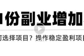 新手如何通过操作副业增加收入，从项目选择到玩法分享
