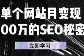 单个网站月变现100万的SEO秘密，百分百做出赚钱站点 