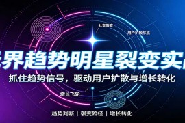 淘系无界趋势明星裂变实战：词路优化、拉新成交与全店收割全流程打法