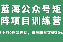 蓝海公众号矩阵项目训练营，2个月0粉冷启动，账号粉丝突破30w，价值1800元