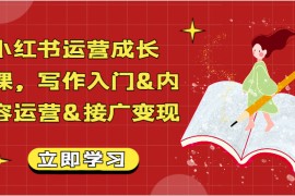 小红书运营成长课，写作入门，内容运营，接广变现【文档】