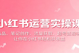 小红书运营实操课：选品、笔记创作、流量获取、起号变现等，让你在小红书轻松获收益