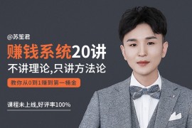 苏笙君的赚钱系统20课 教你从0到1赚到你的第一桶金（不讲理论，只讲方法论）