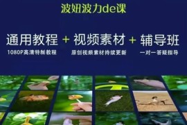 波妞波力的视频通用教程+视频素材+辅导班