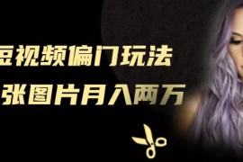 短视频偏门玩法，一张图片就能实现月入两万【视频教程】