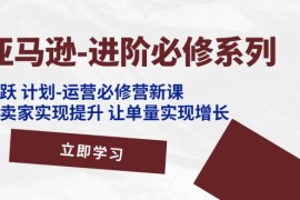 亚马逊进阶必修系列，龙跃计划-运营必修营新课，让卖家实现提升 让单量实现增长