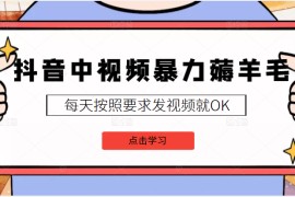 抖音中视频暴力薅羊毛白嫖项目，3天新号每天也有20块收益，可批量