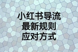 小红书导流最新规则应对方式，新规以后目前还可用的引流方式解读