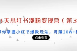 21天小红书涨粉变现营（第3期）：带你掌握小红书爆款玩法，月赚10W+秘密（无水印）
