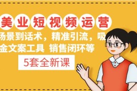  5套·美业短视频运营课 从场景到话术·精准引流·吸金文案工具·销售闭环等