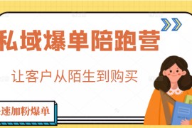 私域爆单陪跑营 4步打造人设，让客户从陌生到购买 快速加粉爆单