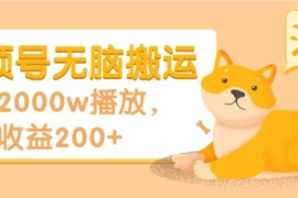 视频号无脑搬运，2000w播放，收益200+，爆料操作流程