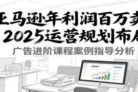 亚马逊年利润百万卖家2025运营规划布局，广告进阶课程案例指导分析