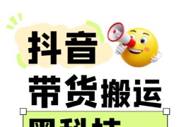 299买来抖音带货搬运技术，苹果安卓都可以，两分钟一个视频，不会封号!
