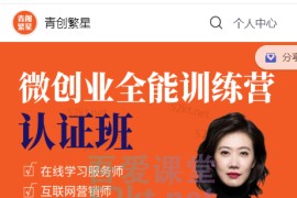 微创业全能训练营认证班