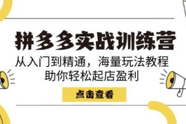 拼多多实战训练营，从入门到精通，海量玩法教程，助你轻松起店盈利