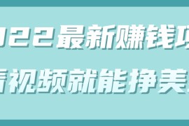 最新赚钱项目，简单看视频就能轻松挣美金【视频教程+梯子】