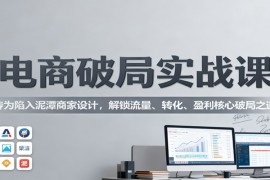 电商破局实战课：专为陷入泥潭商家设计，解锁流量、转化、盈利核心破局之道